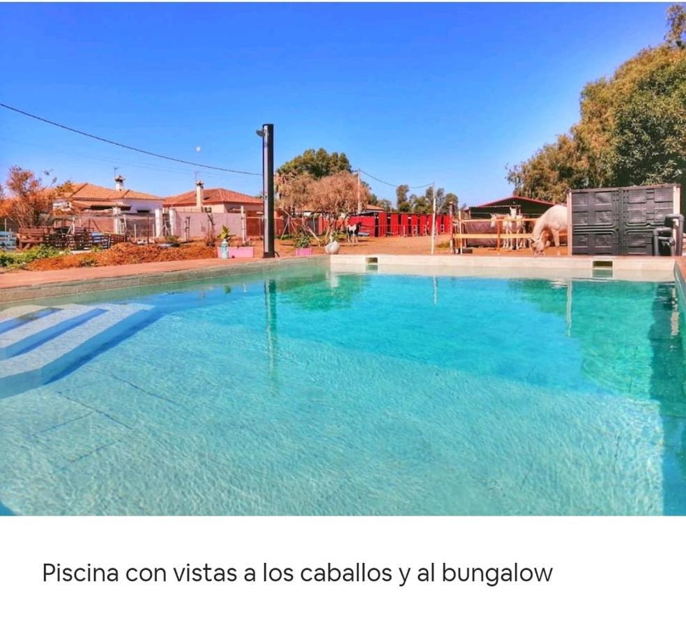 Granja America Apartment Chiclana de la Frontera Exterior photo